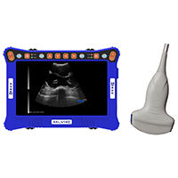 Portable veterinary ultrasound instrument BXL-V10Ⅲ