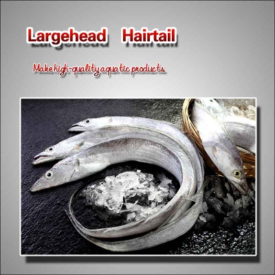 Largehead　Hairtail
