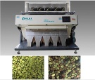 Broad Bean Color Sorter