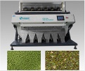 Mung Bean Color Sorter