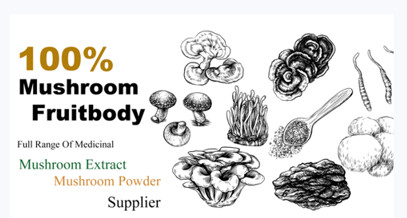 HangZhou Coming Herb Biotech Limited