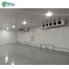seafood packaging cold room walk in freezer for sale cold chamber - cold room