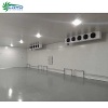 seafood packaging cold room walk in freezer for sale cold chamber&nbsp;-&nbsp;cold room