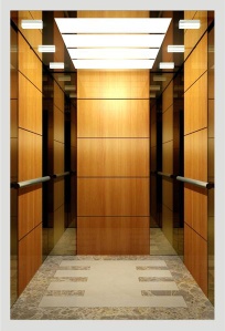 Passenger Elevator, Cargo Elevator High Quality & Best Price