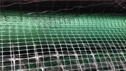 Tensile Plastic Netting