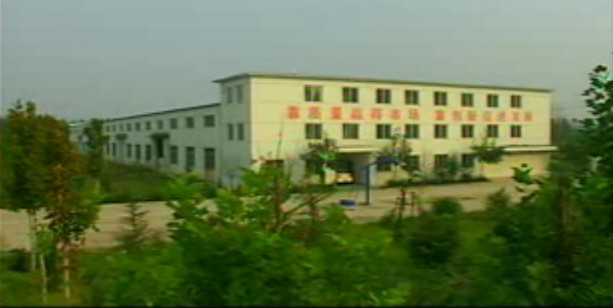 Dezhou Yaxing Steel Tube Equipment Factory