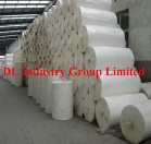 Toilet paper jumbo roll