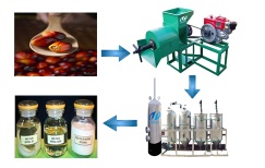 Palm oil extraction and refinery process