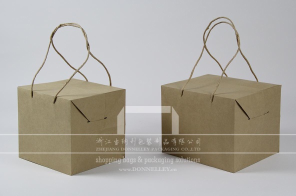 Box Style Creative Paper Bag with Handles