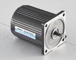 6W induction motor - DC2GN6