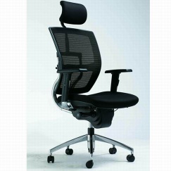 ergonomic seating,executive chair