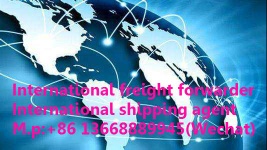 China freight forwarder;Shipping booking;Amazon  business;DDU/DDP;Container transport;Air transport&express&nbsp;-&nbsp;shipping booking