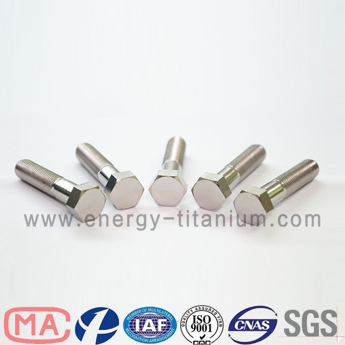 Gr5 titanium alloy Hex Head Bolt
