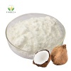 ODM OEM 20:1 Coconut Powder Bulk Pure Organic Instant Coconut Milk Drink Powder