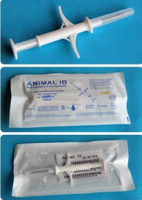 Pet Cat Dog id microchip transponder syringe 2.12*12mm