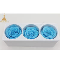 3 roses heads per box