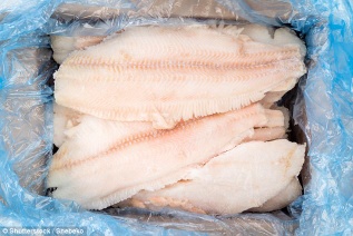 Frozen Trout&nbsp;-&nbsp;Frozen Fish