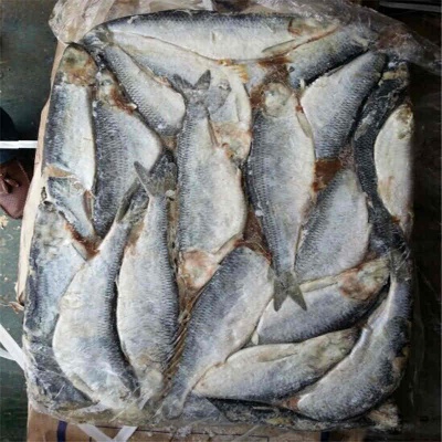 Frozen Herring
