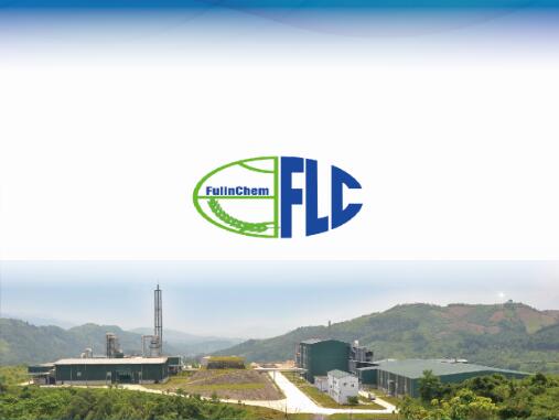 FULIN CHEMICAL INDUSTRIAL COMPANY LIMITE