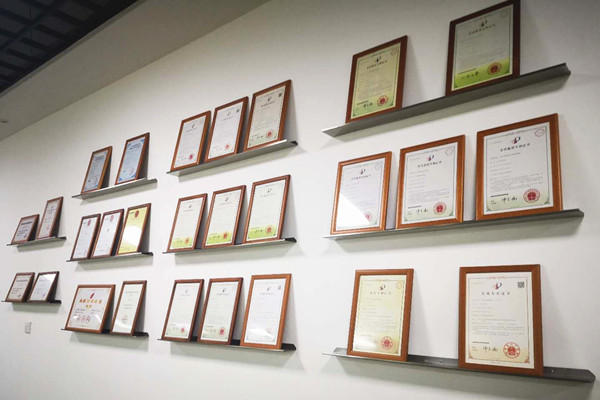 Hangzhou Geevo Technology Co., Ltd.