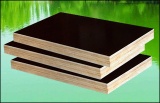 hot sale Giga black 18mm construction plywood sheet manufacturer