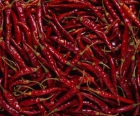 GreeNeem Spices - Indian Chilli, Dry Turmeric, Dry Ginger