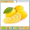 Fresh Lemon Appropriate Price From China