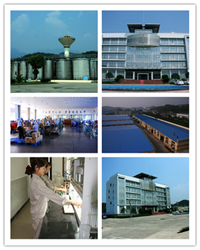 Wuhan Hezhong Bio-Chemical Manufacture Co., Ltd