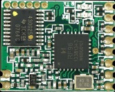 Lora Module