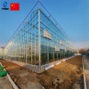 Agricultural glass greenhouse