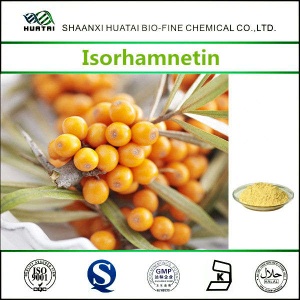 Sea Buckthorn Extract Isorhamnetin 20% For Cosmetics