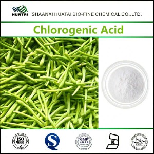 Anti-Radiation Plants Chlorogenic Acid 98% In Herbal Extract