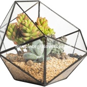 metal planter