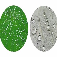 Nano Water Repellent Waterproof Coating