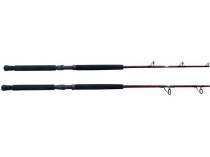 Accurate BX7020C Extreme BX Series Rod - Accurate