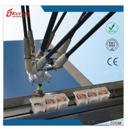 KD-R Guagndong KENDY delta robot arm for cake package