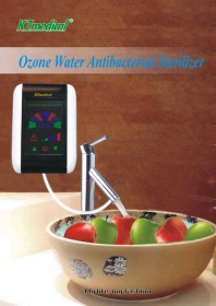 Hot sale water ozone generator for fruit or vegetables