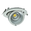 adjustable LED downlight