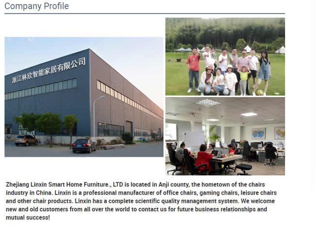Zhejiang Linxin Smart Home Furniture., LTD