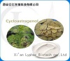 100% Natural Astragalus Root Extract Cycloastragenol 98%