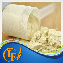 Bulk Supply Whey Protein Powder