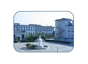 Hebei Huaxu Pharmaceutical CO.,LTD.