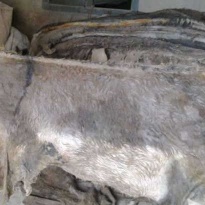 Wet salted, dry salted cow and donkey hides and skins