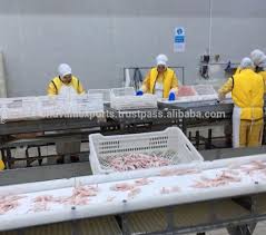 Dutch garden food services llc