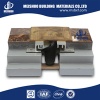 hotel interior floor brass expansion joint covers system China