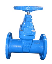 F5 non-rising stem resilient seated gate valve