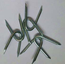 U fence staples with High Quality and Competetive Price