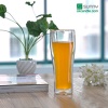 Tall borosilicate double wall glass cups