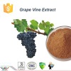 Grape Vine Extract