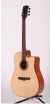 Acoustic guitar